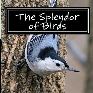 Read Online The Splendor of Birds: A Picture Book for Seniors, Adults with Alzheimer's and Others (Picture Books for Seniors, Alzheimer's Patients, Adults with  and Others; A 'No Text' Book) (Volume 5) - Emma Rose Sparrow file in PDF