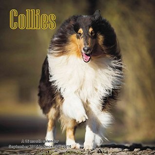 Read Online Collies Calendar - 2016 Wall calendars - Dog Calendars - Monthly Wall Calendar by Magnum -  | PDF
