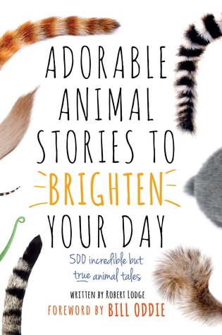 Read Adorable Animal Stories to Brighten Your Day: 500 Incredible but True Animal Tales - Robert Lodge | ePub