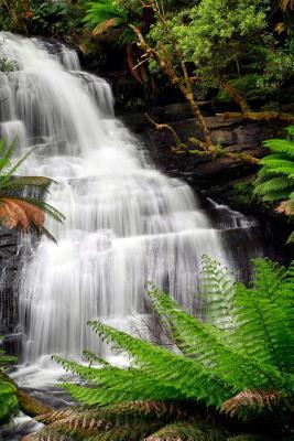 Download A Rainforest Waterfall Journal: 150 Page Lined Notebook/Diary -  file in PDF