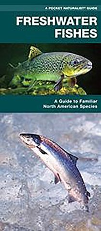 Read Freshwater Fishes: A Folding Pocket Guide to Familiar North American Species (A Pocket Naturalist Guide) - James Kavanagh | ePub