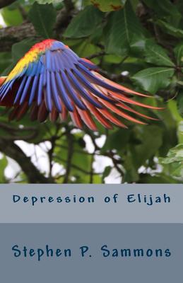 Read Online Depression of Elijah: On Depression and Renewal in Christian Service - Stephen P Sammons | PDF