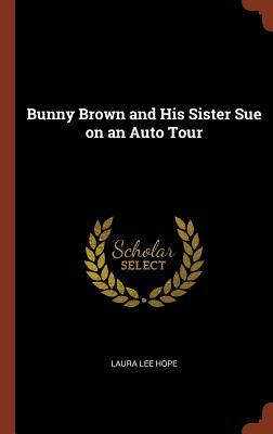 Read Bunny Brown and His Sister Sue on an Auto Tour - Laura Lee Hope file in ePub