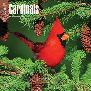 Full Download Cardinals 2018 12 x 12 Inch Monthly Square Wall Calendar, Animals Wildlife Red Birds (Multilingual Edition) -  | PDF