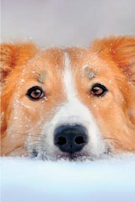 Download Border Collie January Notebook & Journal. Productivity Work Planner & Idea Notepad: Brainstorm Thoughts, Self Discovery, to Do List - Global Pet Care International | ePub