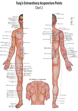 Read Akupunkturtafel Chart 2 Tung's Extraordinary Acupuncture Points on the regular channels - David Koppensteiner file in PDF