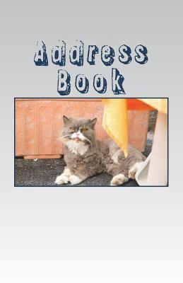 Read Address Book: Address / Telephone / E-mail / Birthday / Web Address / Log in / Password - Victoria Joly | ePub