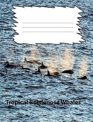 Read Online Tropical Bottlenose Whale College Ruled Line Paper Composition Book: Whale Fans, College Notebooks, Teen Journals, Adult Notebooks, Middle School Students - Christina Peterson | PDF