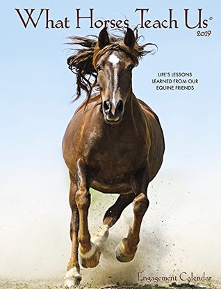 Full Download What Horses Teach Us 2019 Engagement Calendar -  file in ePub